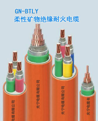 ���ԵV��^���ͻ���| BTLY